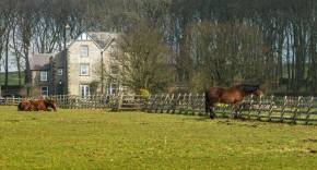 The Manor House